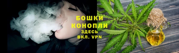 СК Аркадак