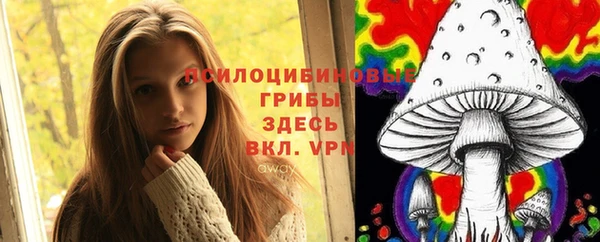 ГАЛЛЮЦИНОГЕННЫЕ ГРИБЫ Арсеньев