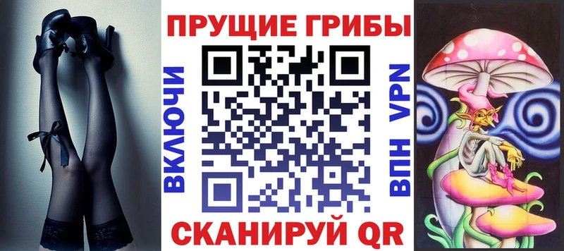 закладка  Северская  Псилоцибиновые грибы ЛСД 