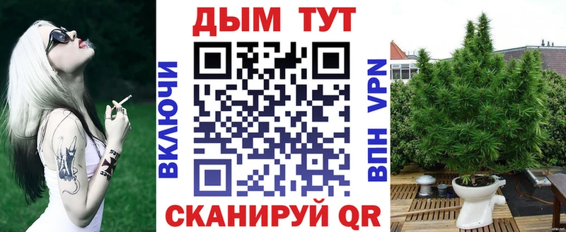 Канабис марихуана  Северская 